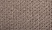 Mohawk Smartstrand Braided Beauty Bali 3J53-824