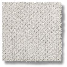 Mohawk Smartstrand Braided Beauty Silver Fox 3J53-901