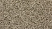 Mohawk Everstrand Reboot Sesame 3J62-747