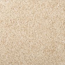 Mohawk Everstrand Eagle Bluff Parchment 3J69-728