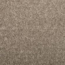 Mohawk Everstrand Spring Place Warmest Grey 3J72-942