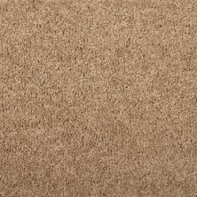 Mohawk Everstrand Emery Creek Earthy 3J73-857