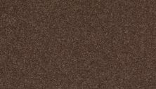 Mohawk Smartstrand Quality Feeling Chocolate Chip 3J93-883