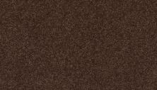 Mohawk Smartstrand Quality Feeling Dark Fudge 3J93-893