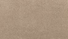 Mohawk Smartstrand Luxuriant Feel Tradition 3J95-765