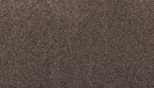 Mohawk Smartstrand Luxuriant Feel Lite Espresso 3J95-873