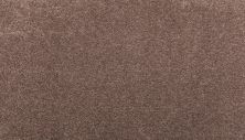 Mohawk Smartstrand Luxuriant Feel Chocolate Chip 3J95-883