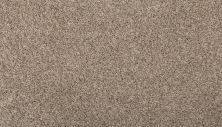 Mohawk Everstrand Basic Element I Boulevard 3K14-829
