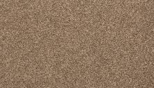 Mohawk Everstrand Basic Element II Mystic Wood 3K15-789