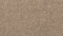 Mohawk Everstrand Basic Element II Boulevard 3K15-829