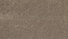 Mohawk Everstrand Soft Appeal Soft Tempo I Shadow Suede 3K30-859