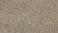 Mohawk Everstrand Soft Appeal Soft Clarity II Mount Ice 3K33-759
