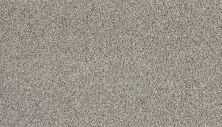 Mohawk Everstrand Soft Appeal Soft Clarity II Frozen Tundra 3K33-925
