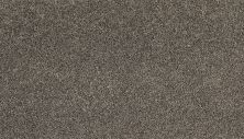Mohawk Everstrand Soft Appeal Soft Clarity II Gravel Path 3K33-977
