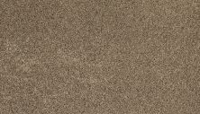 Mohawk Everstrand Soft Appeal Soft Description I Down Draft 3K36-796