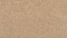 Mohawk Everstrand Revive Sugar Cookie 3K42-5