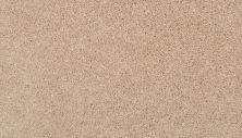 Mohawk Everstrand Revive Rice Cake 3K42-9