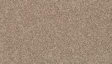 Mohawk Everstrand Hartley Havana 3K47-829