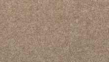 Mohawk Everstrand Classic Hues II Boulevard 3K61-829