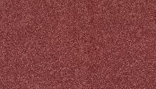 Mohawk Smartstrand Radiant Surface Desert Rose 3K72-342