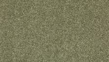 Mohawk Smartstrand Radiant Surface Sage 3K72-621