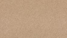 Mohawk Smartstrand Radiant Surface Tradition 3K72-765