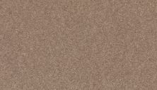 Mohawk Smartstrand Radiant Surface Timeless 3K72-779