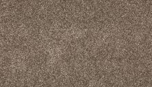 Mohawk Smartstrand Radiant Surface Cascade 3K72-849