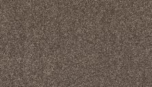 Mohawk Smartstrand Radiant Surface Lite Espresso 3K72-873