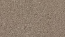 Mohawk Smartstrand Radiant Surface Arctic 3K72-908