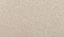 Mohawk Smartstrand Radiant Tone Linen Lace 3K73-728