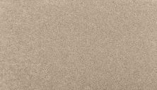 Mohawk Smartstrand Radiant Tone Outer Banks 3K73-745