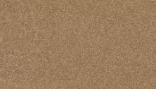 Mohawk Smartstrand Radiant Tone Halo 3K73-760