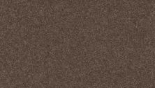 Mohawk Smartstrand Radiant Tone Fortress 3K73-870