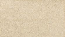 Mohawk Smartstrand Noble Surface Honey Cream 3K74-162