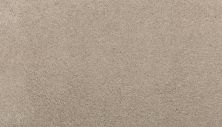 Mohawk Smartstrand Noble Surface Twine 3K74-723