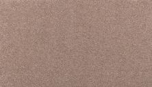 Mohawk Smartstrand Noble Surface Timeless 3K74-779