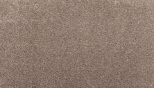 Mohawk Smartstrand Noble Surface Moonrock 3K74-952