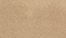 Mohawk Smartstrand Lakewood Drive I Michigan 3L02-758