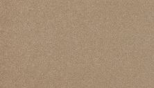 Karastan Kashmere Gossamer Shades Praline 3L16-9742