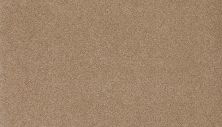 Karastan Kashmere Gossamer Shades Shale 3L16-9842