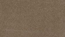 Karastan Kashmere Gossamer Shades Morel 3L16-9852