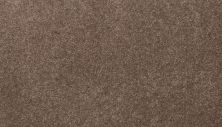 Mohawk Smartstrand Tender Moment II Russet 3L18-866