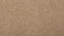 Mohawk Everstrand Revamped III Toffee Cream 3L25-17