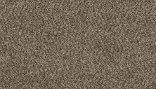 Mohawk Everstrand Revamped III Shimmer Ash 3L25-19