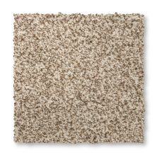 Mohawk Everstrand Plateau I Elk Beige 3L26-729