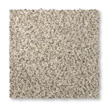 Mohawk Everstrand Terrain I Silver Dollar 3L28-938