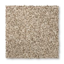 Mohawk Everstrand Terrain II Elk Beige 3L29-729