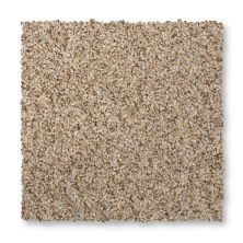 Mohawk Everstrand Terrain II Flannel 3L29-927