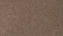 Mohawk Smartstrand Height Of Style II Toffee 3L31-853